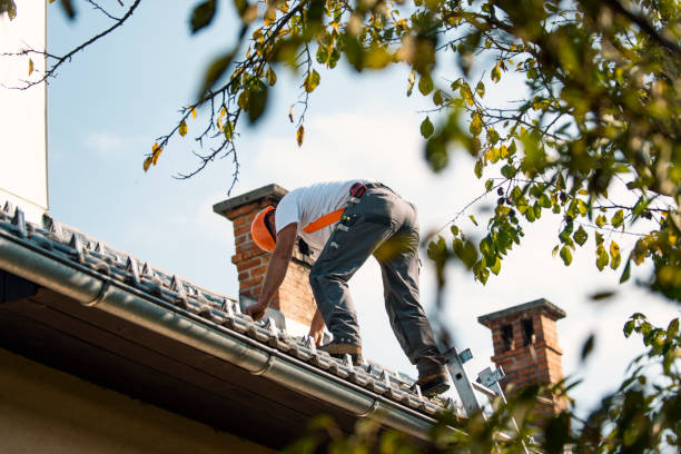 Best Roof Repair Services  in Dowagiac, MI