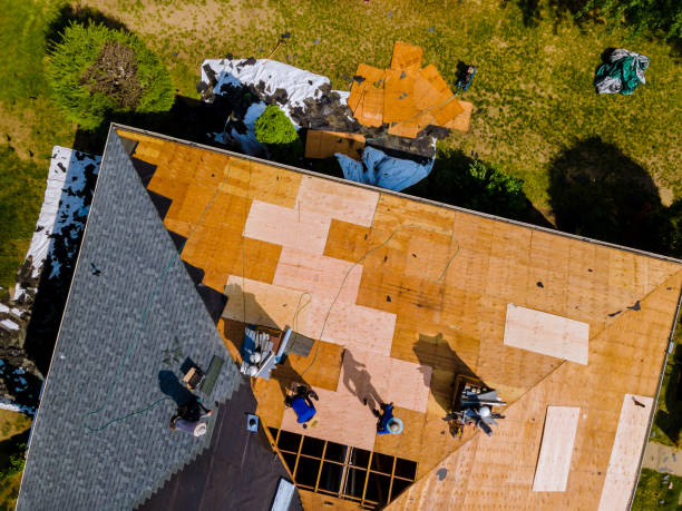 Best Storm Damage Roof Repair  in Dowagiac, MI