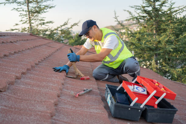 Best Roof Replacement Cost  in Dowagiac, MI