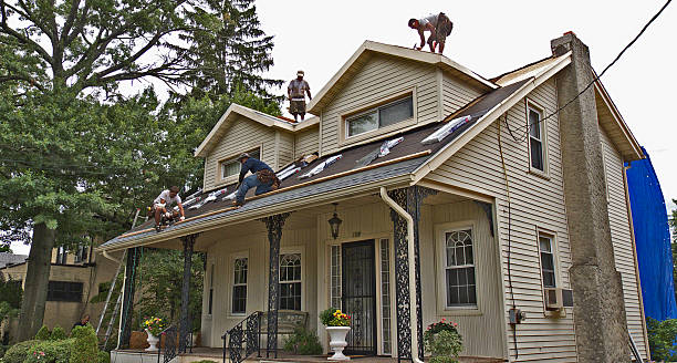 Best Roof Repair Services  in Dowagiac, MI