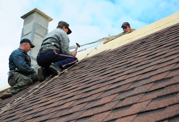 Best Storm Damage Roof Repair  in Dowagiac, MI
